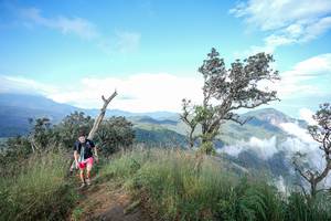 BIB: 
                            <button type="button" onclick="openModal(22371808)" class="btn btn-primary btn-sm float-right btn-popup" data-toggle="modal" data-target=".modal-high-quality">
                        <i class="fas fa-shopping-cart"></i> Add to Cart
                    </button>
                                            <button type="button" onclick="isThisMe(22371808, true)" class="btn btn-success btn-sm float-right btn-popup btn-isme hidden" data-toggle="tooltip" data-placement="bottom" title="นี่คือรูปของคุณใช่ไหม คลิกที่นี่เพื่อเอาเข้าอัลบั้ม">
                        <i class="fas fa-plus"></i> Add to album
                    </button>
                    <button type="button" onclick="isThisMe(22371808, false)" class="btn btn-warning btn-sm float-right btn-popup btn-isnotme hidden">
                        <i class="fas fa-ban"></i> Remove from album
                    </button>